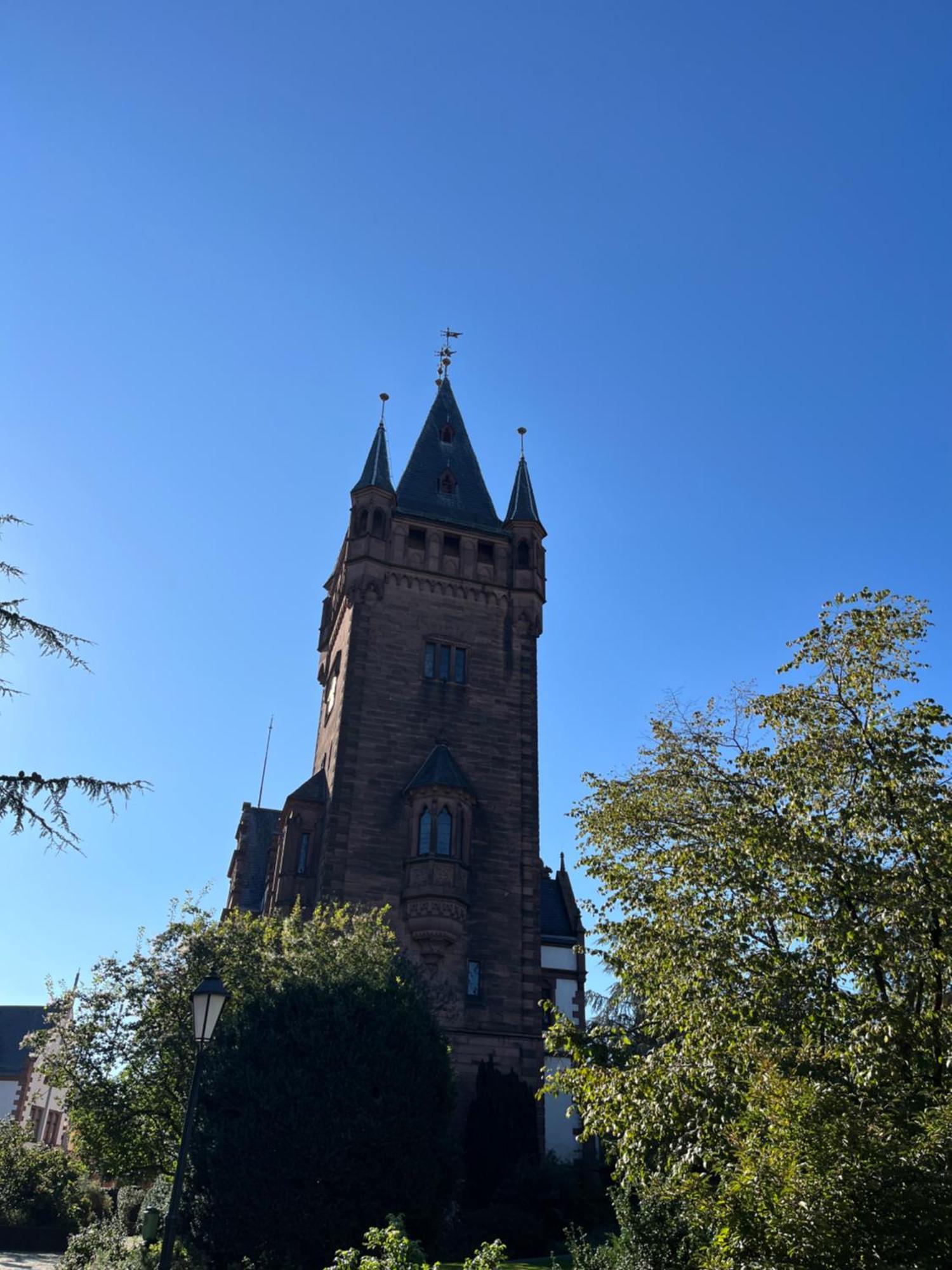 Ferienwohnung Burgenblilck Weinheim Exterior foto